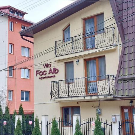 Vila Foc Alb Apartamente-Буштени Экстерьер фото