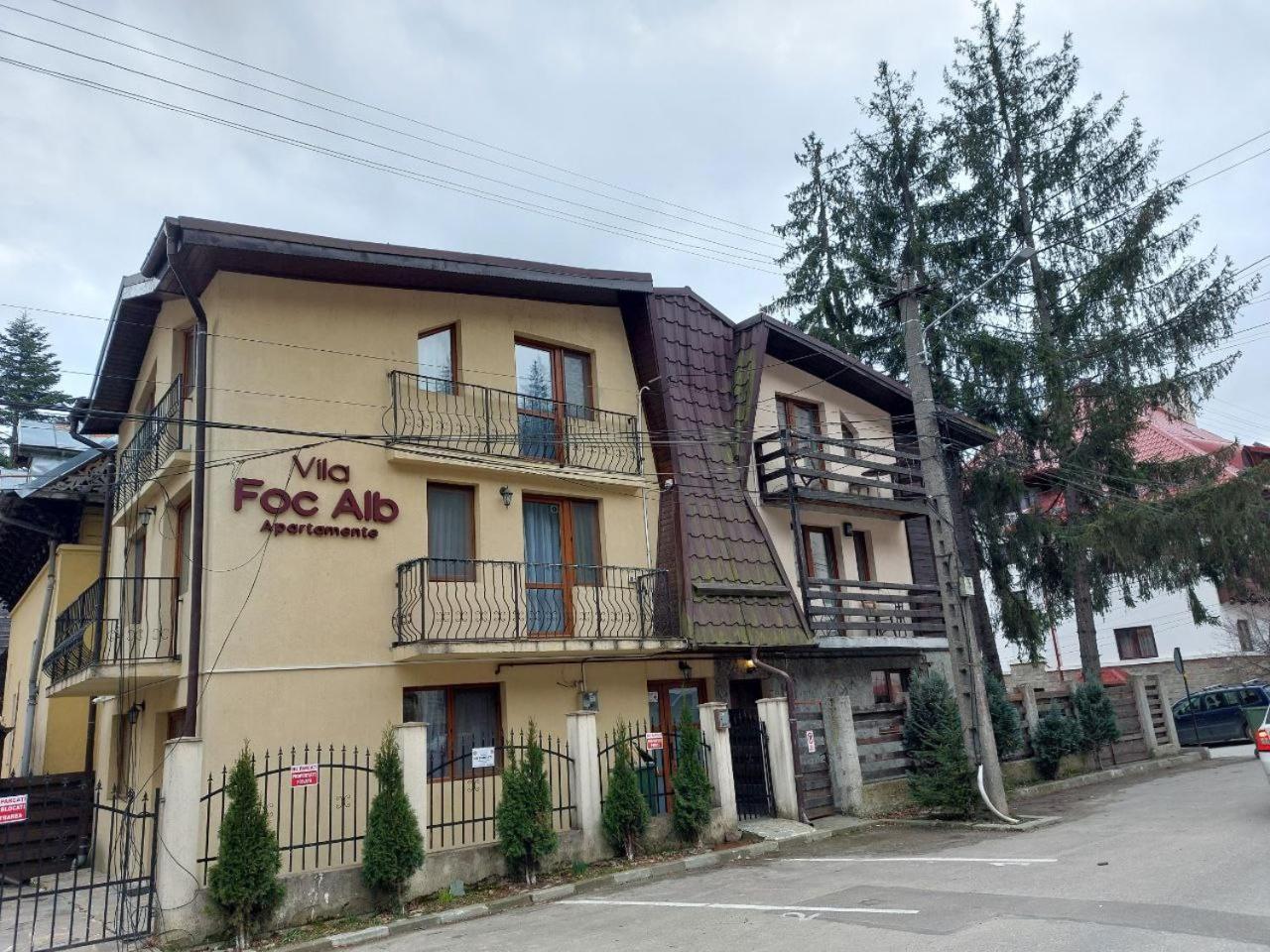 Vila Foc Alb Apartamente-Буштени Экстерьер фото